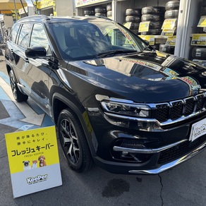 その他・コマンダー