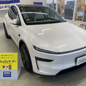 その他・テスラ・モデルY