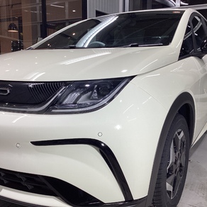 その他・BYD  ドルフィン