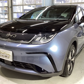 その他・BYD  ドルフィン