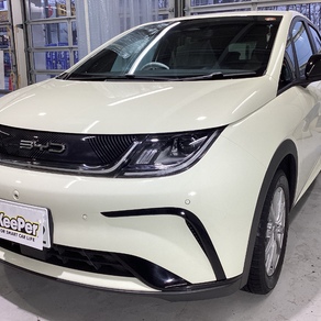 その他・BYD  ドルフィン