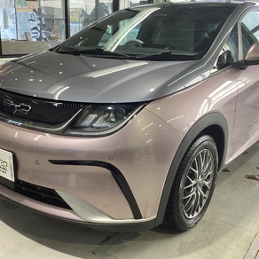 その他・BYD   ドルフィン