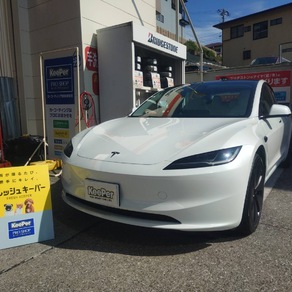 その他・テスラ・モデル３