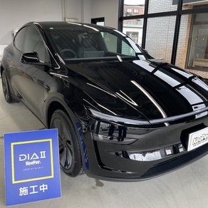その他・テスラ・モデルY