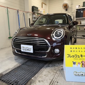 BMW・MINI