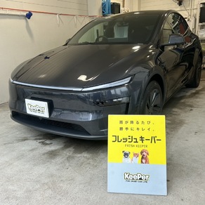 その他・テスラ・モデルY